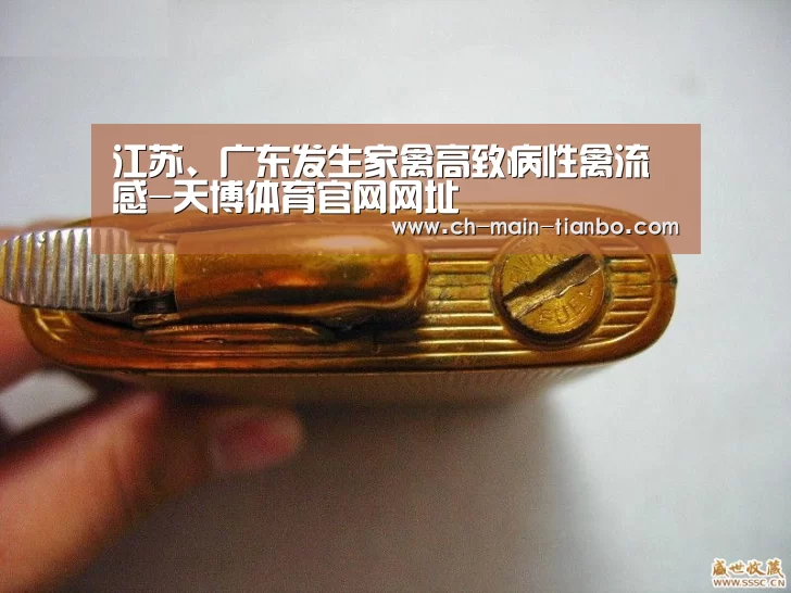 江苏、广东发生家禽高致病性禽流感-天博体育官网网址