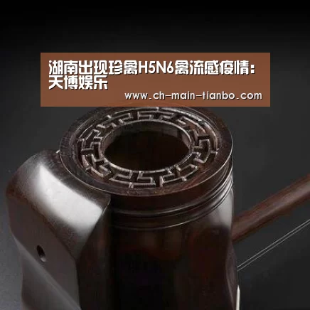 天博娱乐