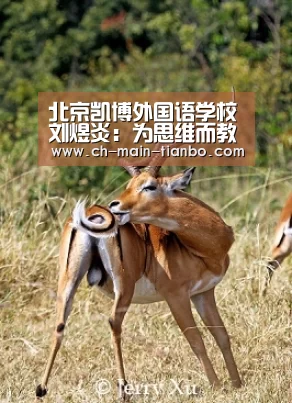 天博娱乐