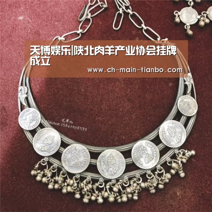 天博娱乐|陕北肉羊产业协会挂牌成立(图3) 天博娱乐